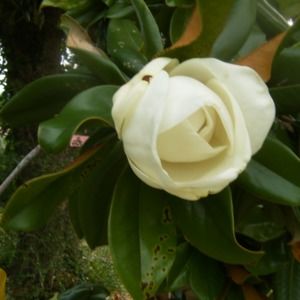 Meet your Posher, Rachelle